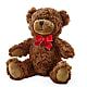 Adorable Plush Bear –  Prestige House Of Flowers, Biddeford ME